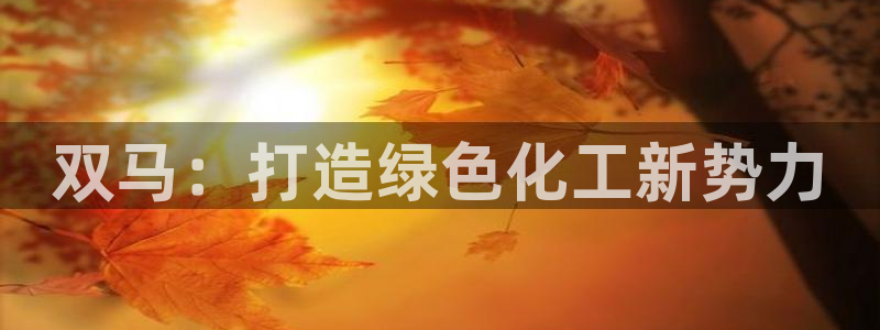 球盟会app最新地址在哪里：双马：打造绿色化工新势力
