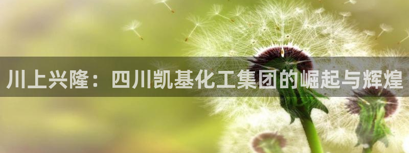 球盟会有没有黑单的球员：川上兴隆：四川凯基化工集团的崛起与辉