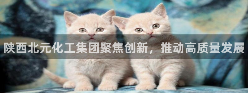 球盟会黑款吗还是白款：陕西北元化工集团聚焦创新，推动高质量发
