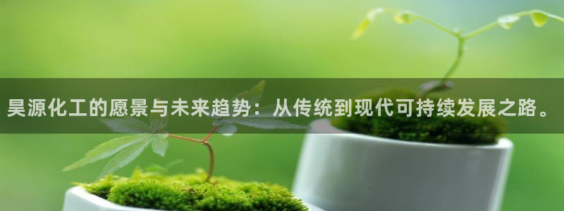 球盟会连接：昊源化工的愿景与未来趋势：从传统到现代可持续发展
