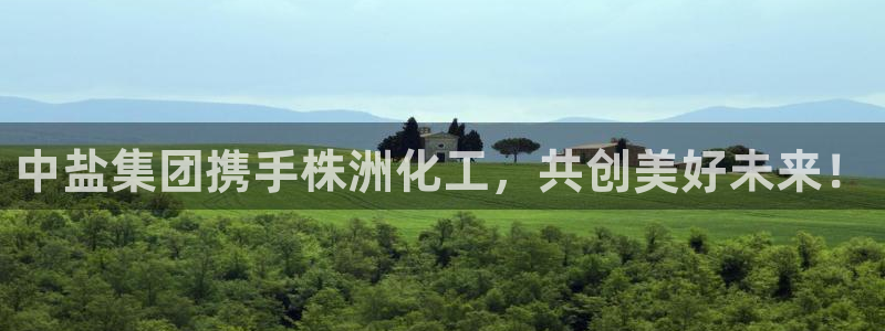 球盟会封号：中盐集团携手株洲化工，共创美好未来！