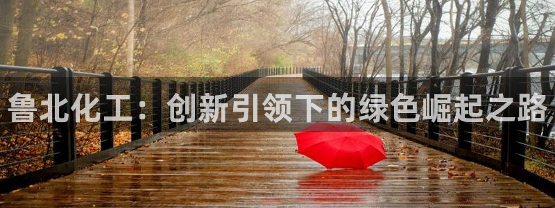 球盟会app安装：鲁北化工：创新引领下的绿色崛起之路