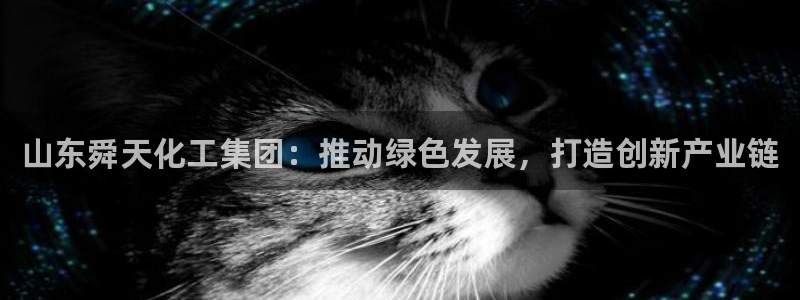 球盟会优惠码：山东舜天化工集团：推动绿色发展，打造创新产业链