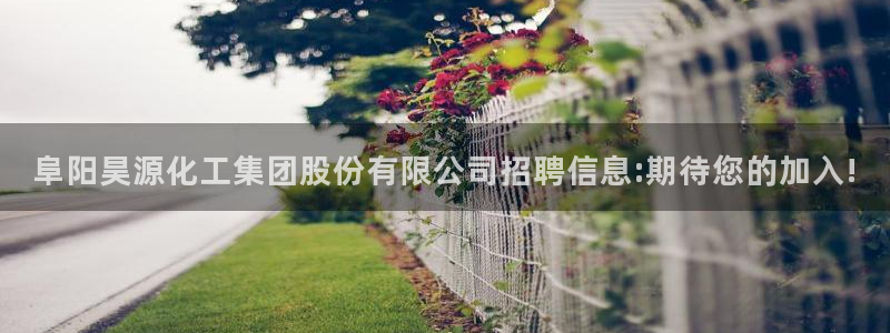 球盟会论坛：阜阳昊源化工集团股份有限公司招聘信息:期待您的加