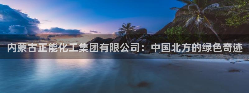球盟会黑台子：内蒙古正能化工集团有限公司：中国北方的绿色奇迹