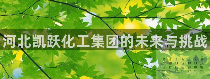 球盟会黑台子吗：河北凯跃化工集团的未来与挑战