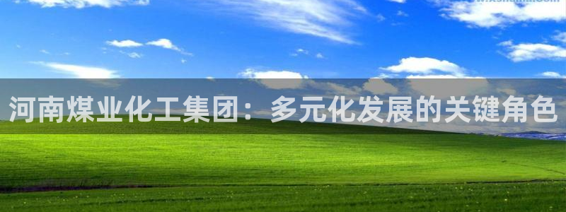 球盟会登陆入口：河南煤业化工集团：多元化发展的关键角色