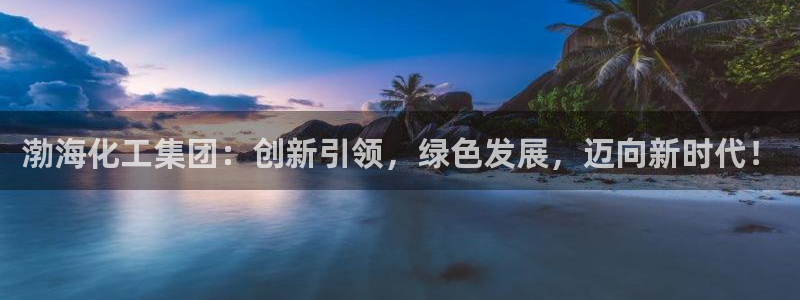 球盟会游戏几点玩合适：渤海化工集团：创新引领，绿色发展，迈向