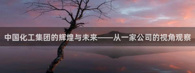 球盟会官网app下载：中国化工集团的辉煌与未来——从一家公司
