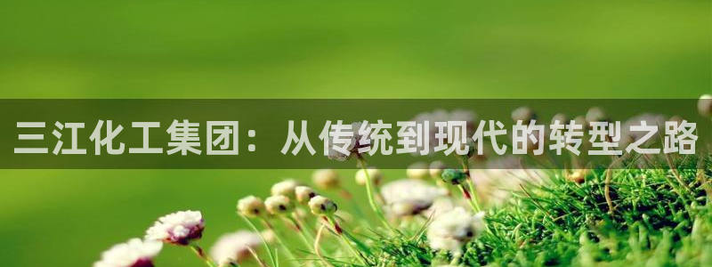 球盟会游戏：三江化工集团：从传统到现代的转型之路