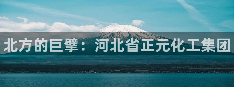 球盟会可以提现么：北方的巨擘：河北省正元化工集团