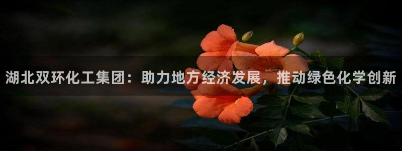 球盟会优惠券