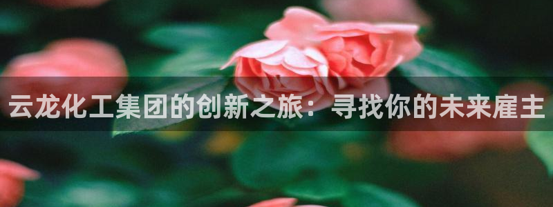 球盟会黑台子：云龙化工集团的创新之旅：寻