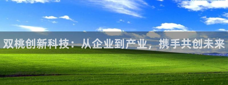 球盟会qmh