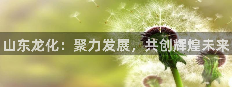 球盟会有没有黑单的球员：山东龙化：聚力发
