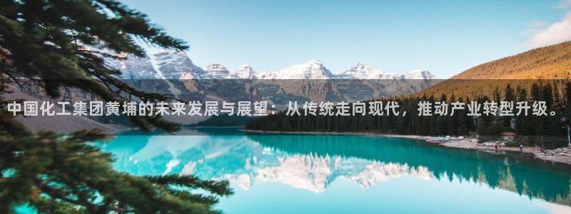 球盟会官方登录平台：中国化工集团黄埔的未
