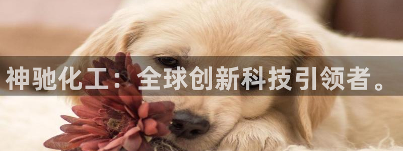 球盟会能退钱吗知乎：神驰化工：全球创新科