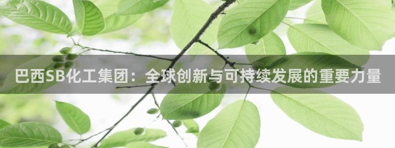 球盟会网址qm9 - 球盟会qmh网页版登录：巴西SB化工集