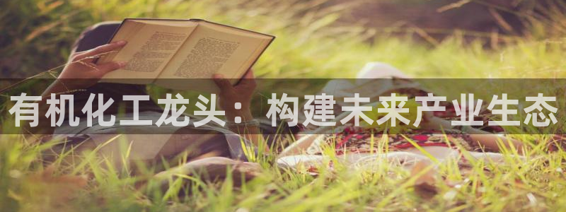 球盟会电子：有机化工龙头：构建未来产业生态