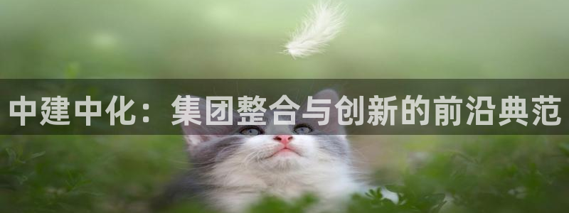 球盟会官网网页版