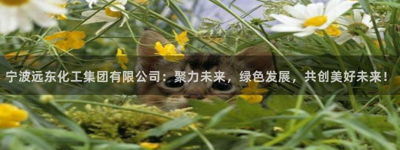 球盟会电子好黑