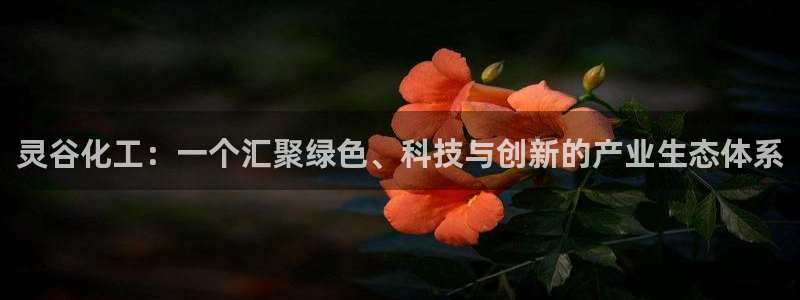 球盟会最新地址备用：灵谷化工：一个汇聚绿色、科技与创新的产业
