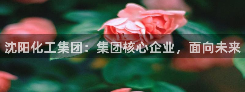 球盟会app最新地址在哪里：沈阳化工集团：集团核心企业，面向