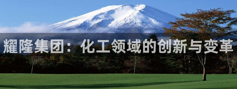 球盟会黑款吗知乎文章：耀隆集团：化工领域的创新与变革